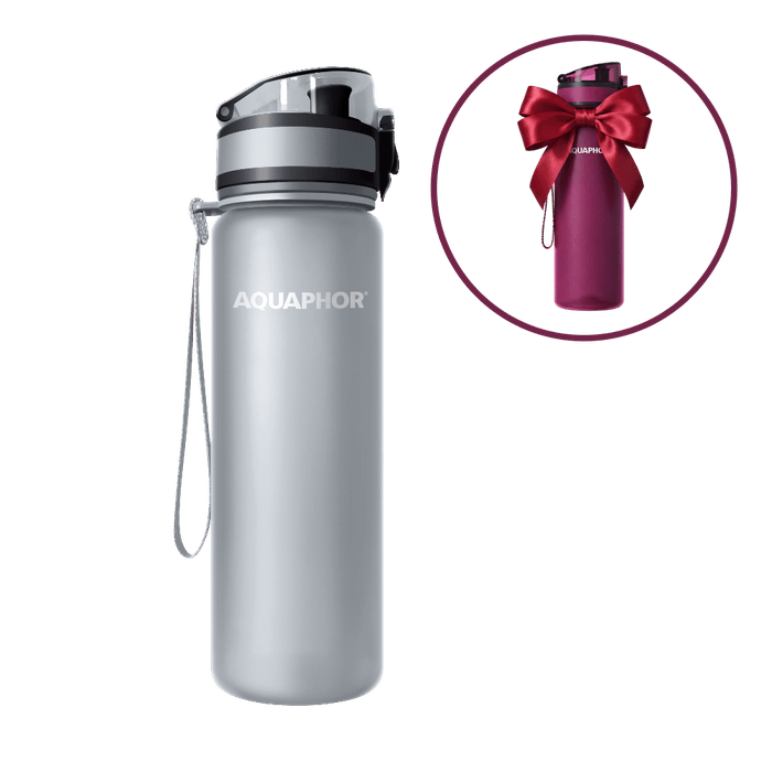 Фильтр-бутылка АКВАФОР Сити 500 мл + вторая в подарок